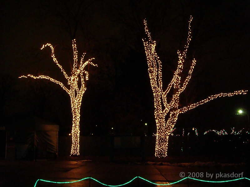 095 Toledo Zoo Light Show [2008 Dec 27].JPG - Scenes from the Toledo Zoo Light Show.